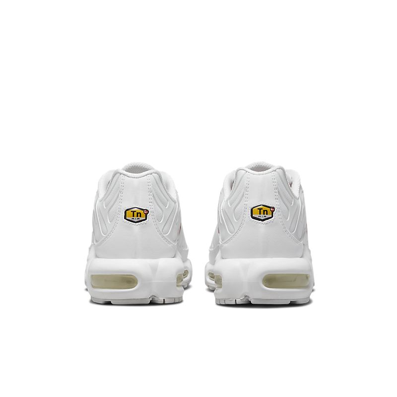 Nike Air Max Plus