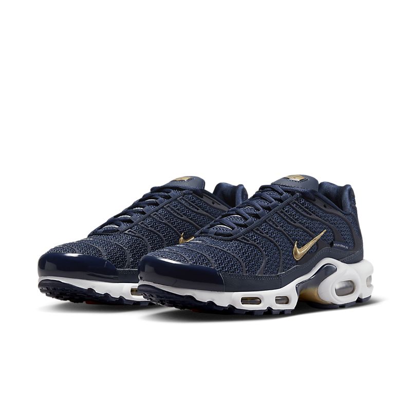 Nike Air Max Plus 6