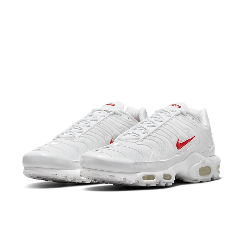 Nike Air Max Plus
