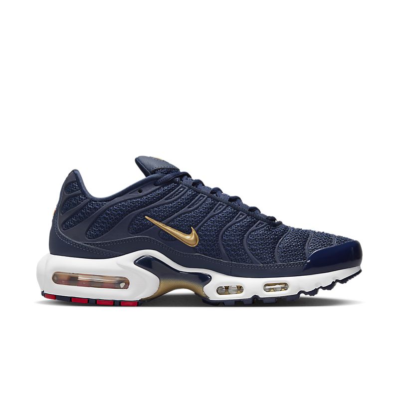 Nike Air Max Plus 6