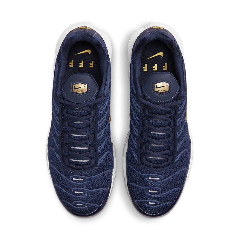 Nike Air Max Plus 6
